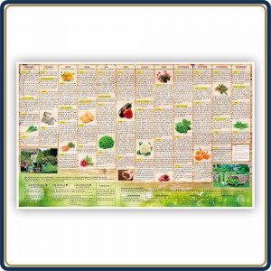 Le Calendrier Pub|Rigide MAXI 2