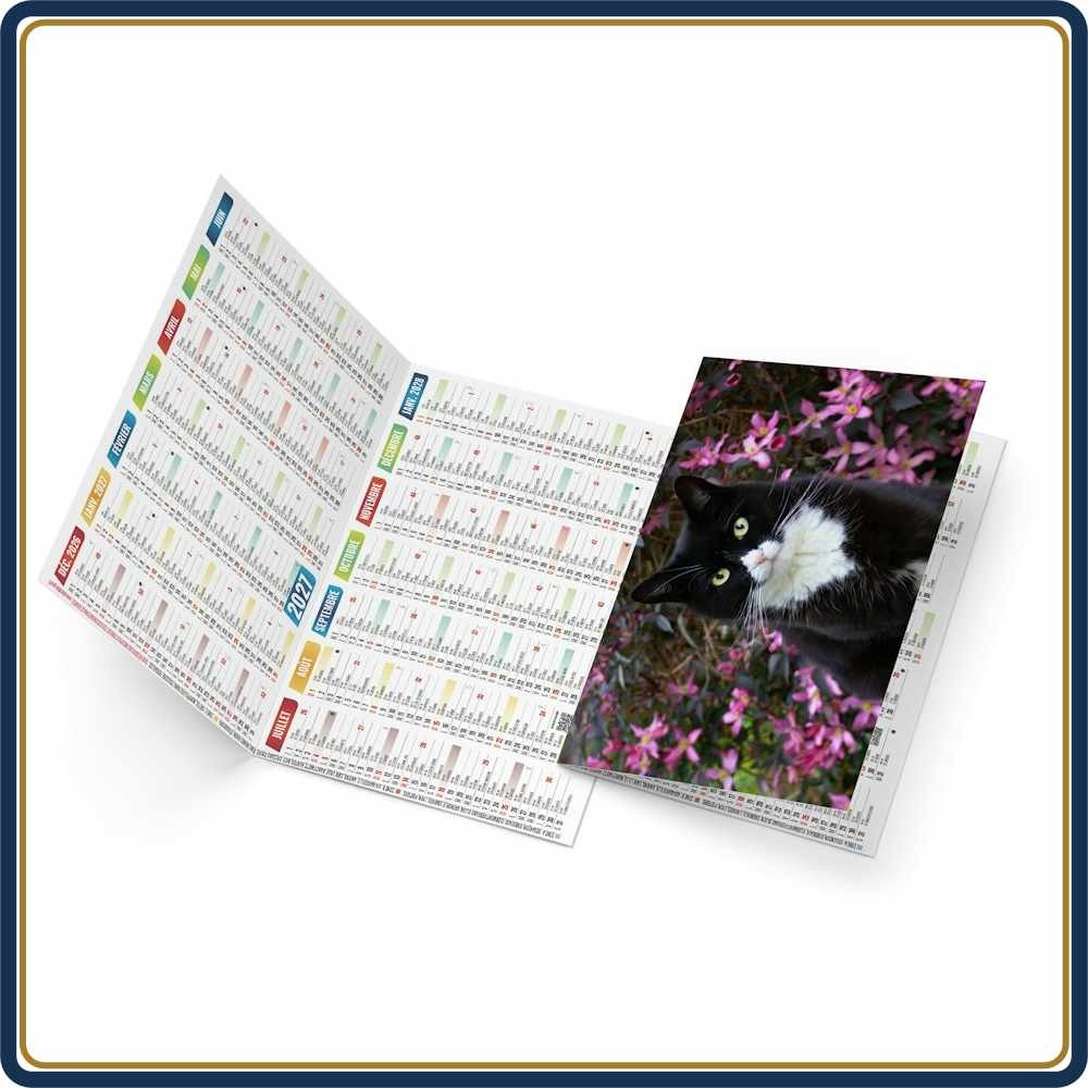CALENDRIER DE POCHE FÉLIX - 2027 | Le Calendrier Pub