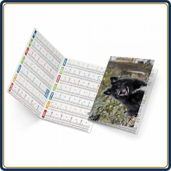 CALENDRIER DE POCHE FIDÈLE - 2027 | Le Calendrier Pub
