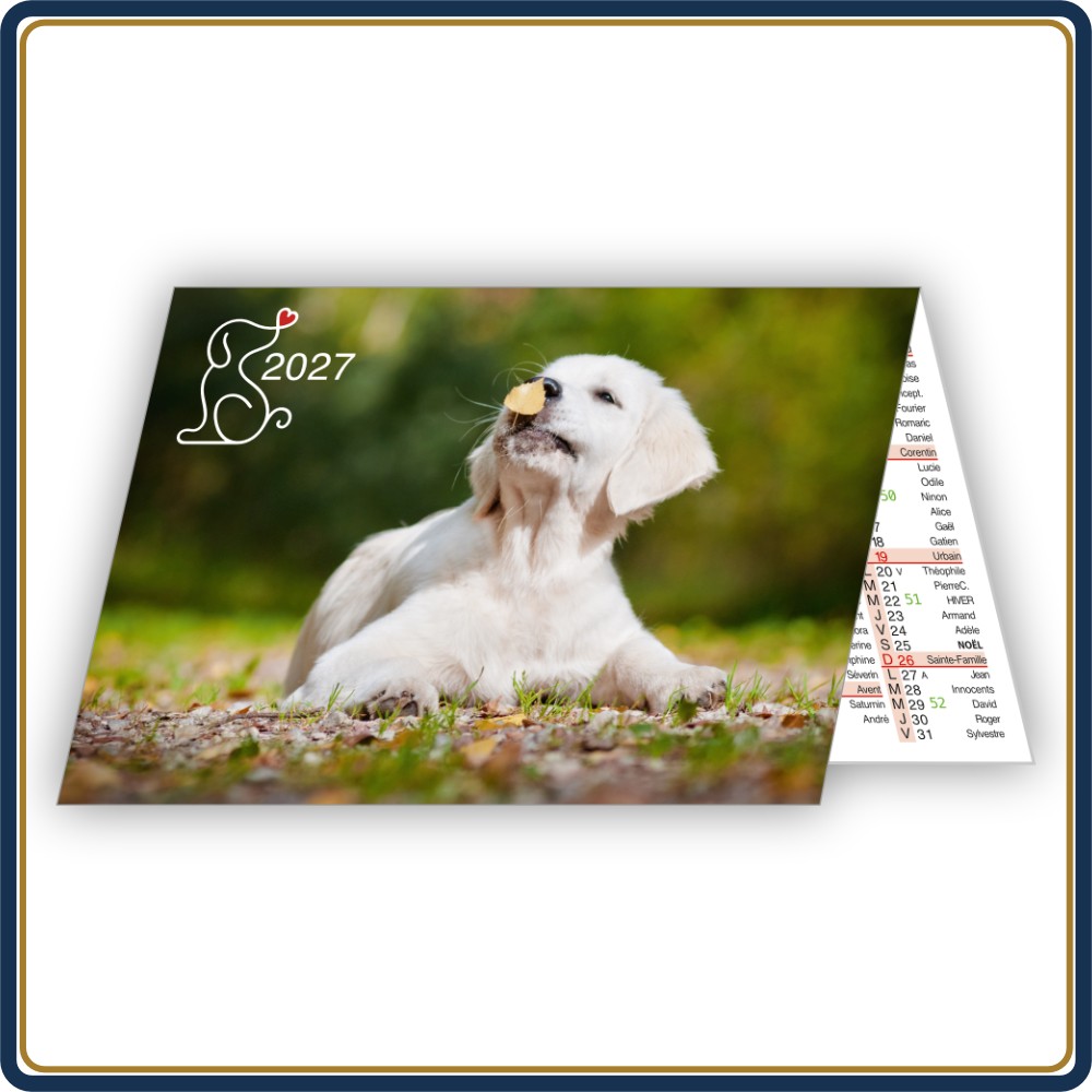 CALENDRIER DE POCHE TOUTOUS - 2027 | Le Calendrier Pub