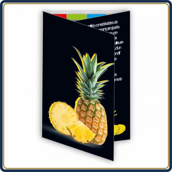 CALENDRIER DE POCHE VITAMINES ET FRUITS - 2027 | Le Calendrier Pub