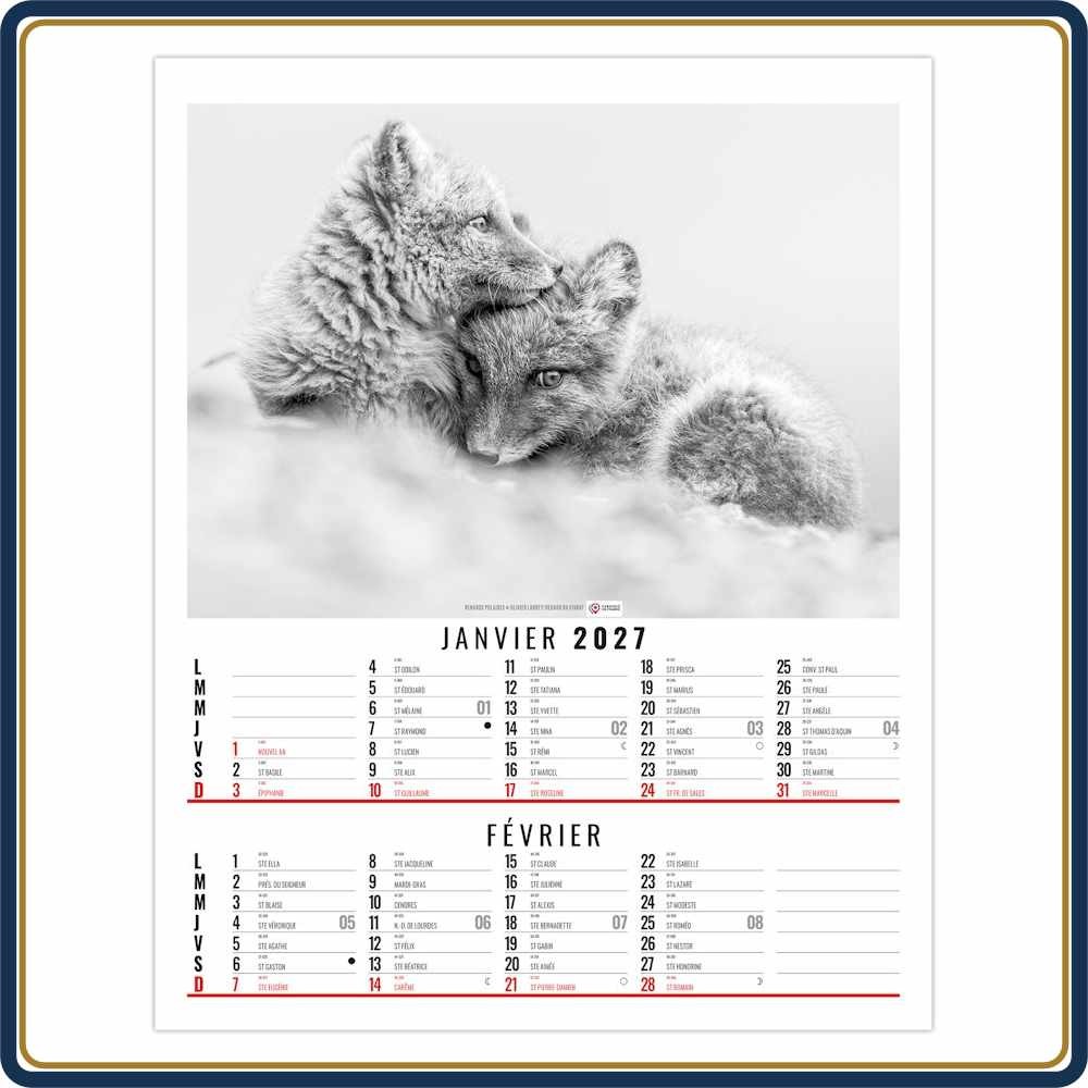 BLOC ILLUSTRÉ AGRAFÉ ANNA 6 FEUILLETS - 2027 | Le Calendrier Pub