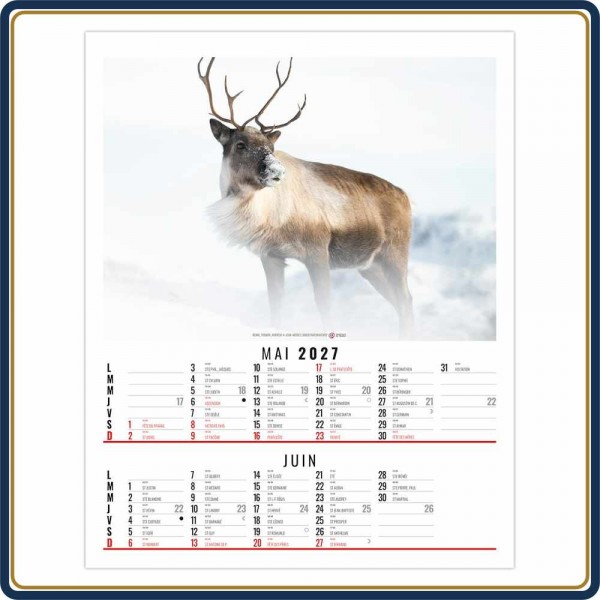 BLOC ILLUSTRÉ AGRAFÉ ANNA 6 FEUILLETS - 2027 | Le Calendrier Pub