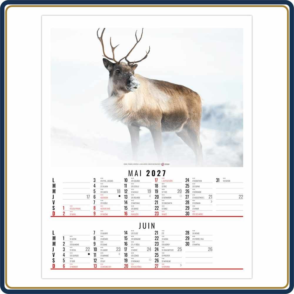 VIDE-POCHE AGRAFÉ ANNA 6 FEUILLETS - 2027 | Le Calendrier Pub
