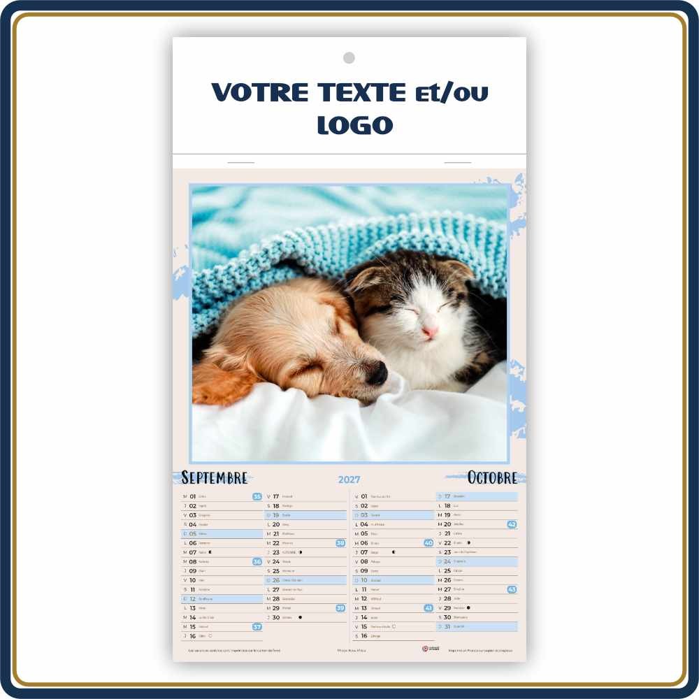 CHIENS & CHATS BLOC ILLUSTRÉ AGRAFÉ COMPACT 7 FEUILLETS - 2027 | Le Calendrier Pub