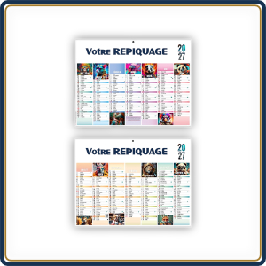Format souple Mini
